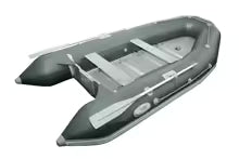 Gommone Motor 3.1